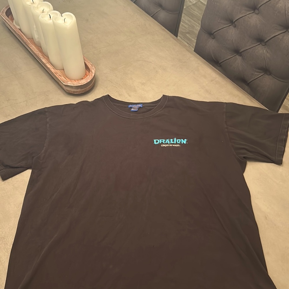 Vintage oversized Dralion tee